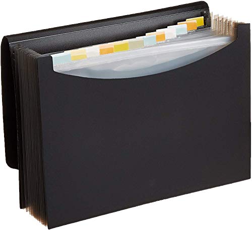 Amazon Basics Expanding Organizer File Folder